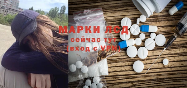 альфа пвп Новодвинск
