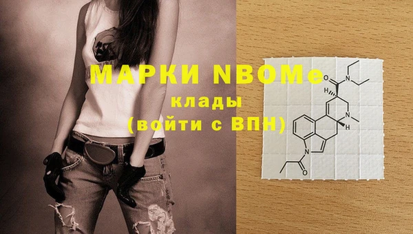 альфа пвп Новодвинск